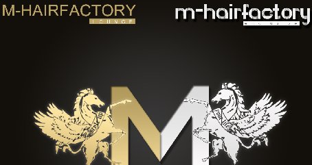 M-Hairfactory