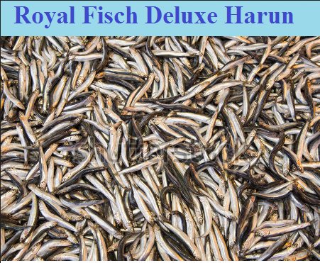 Royal Fisch Deluxe Harun